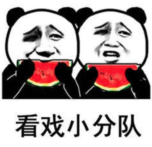 吃瓜表情包回复怎么说好听,幽默风趣的社交新宠