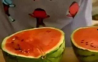 娱乐吃瓜君每日吃瓜,跟随吃瓜君一起探索娱乐圈的幕后故事